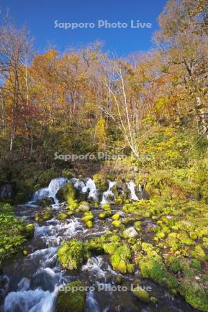 ふきだし公園　羊蹄のふきだし湧水