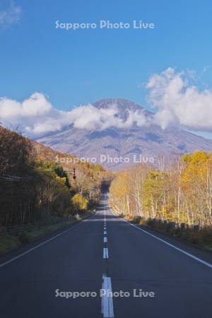 羊蹄山と紅葉と道 国道276号線