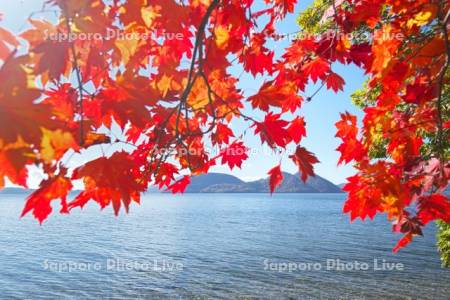 洞爺湖と紅葉