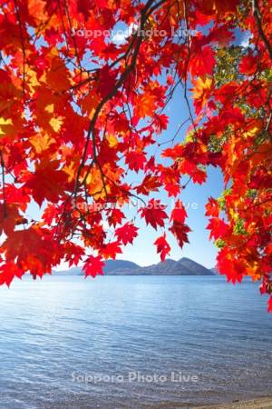 洞爺湖と紅葉
