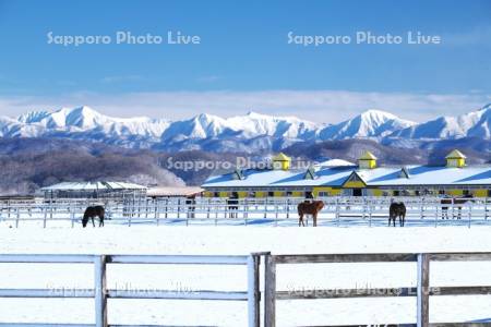 日高山脈とサラブレッドの放牧