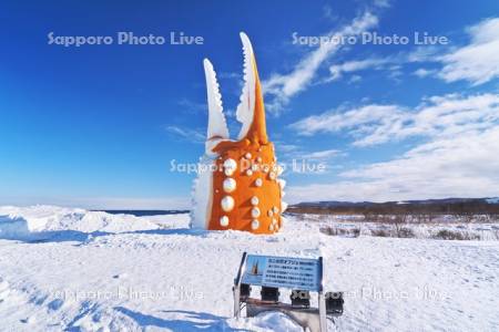 カニの爪（オブジェ）