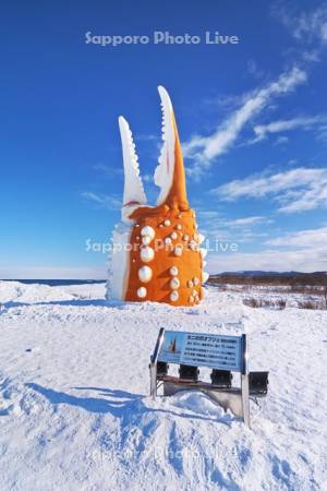 カニの爪（オブジェ）