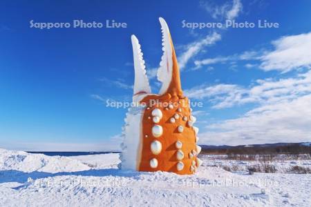 カニの爪（オブジェ）