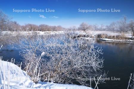 釧路川と樹氷
