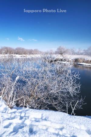 釧路川と樹氷