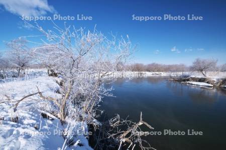 釧路川と樹氷