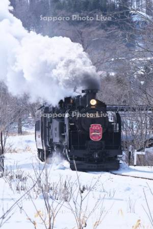 SL冬の湿原号