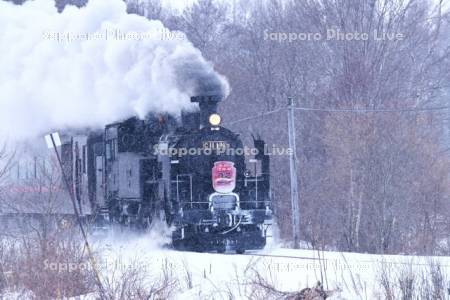 SL冬の湿原号
