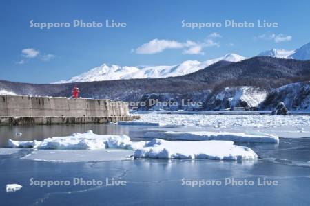 ウトロ港の流氷と知床連山