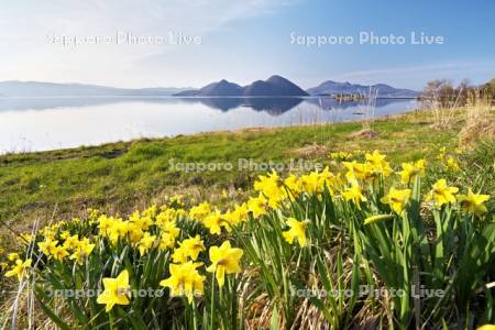 洞爺湖とスイセン