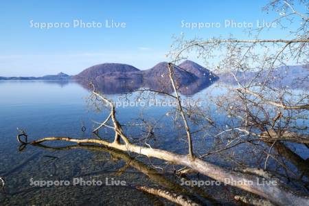 洞爺湖と中島とモクレン