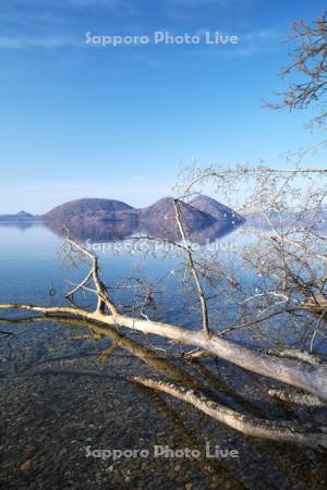 洞爺湖と中島とモクレン