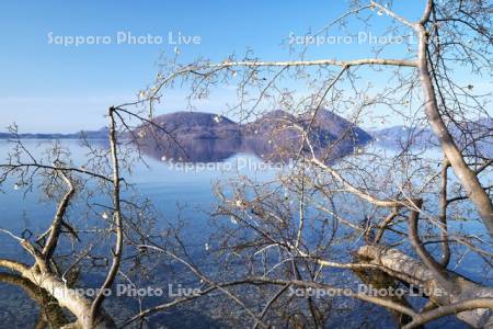 洞爺湖と中島とモクレン