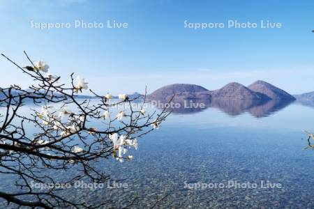 洞爺湖と中島とモクレン