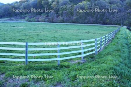 新しいタイプの牧柵