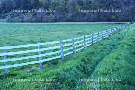 新しいタイプの牧柵
