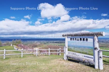 清水円山展望台の桜と十勝平野