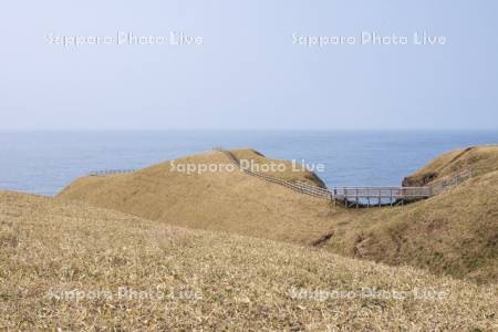 涙岬と遊歩道と太平洋