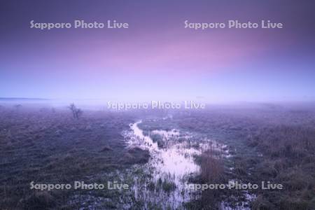 霧多布湿原の朝と朝霧