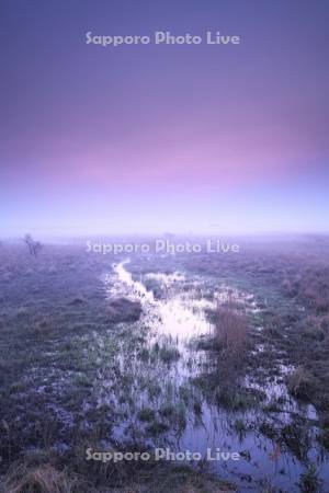 霧多布湿原の朝と朝霧