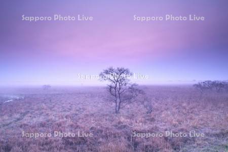 霧多布湿原の朝と朝霧