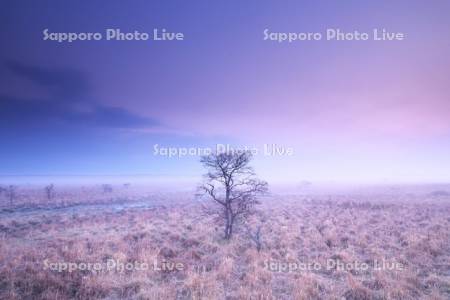 霧多布湿原の朝と朝霧