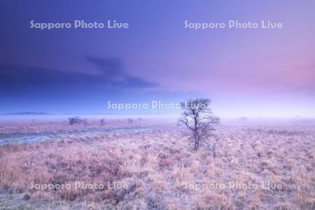 霧多布湿原の朝と朝霧