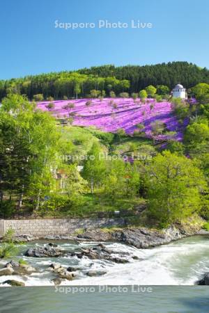 芝ざくら滝上公園と渚滑川（蚊流の滝）