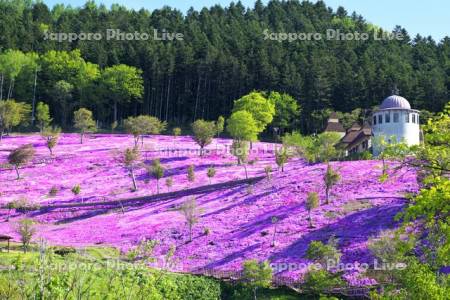 芝ざくら滝上公園