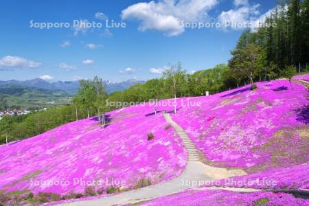 芝ざくら滝上公園