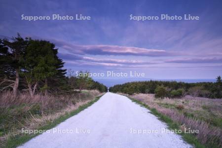 宗谷丘陵の（ホタテの）白い道の朝