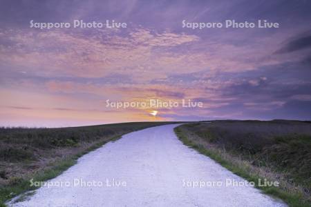 宗谷丘陵の（ホタテの）白い道の日の出