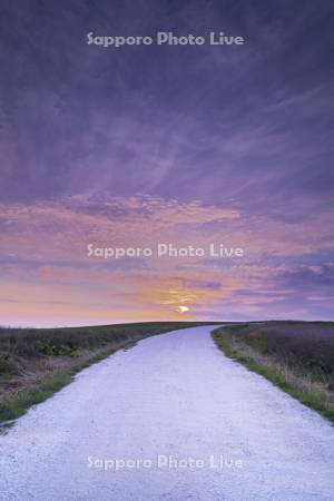 宗谷丘陵の（ホタテの）白い道の日の出