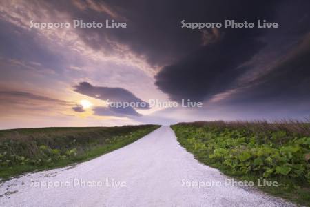 宗谷丘陵の（ホタテの）白い道の日の出