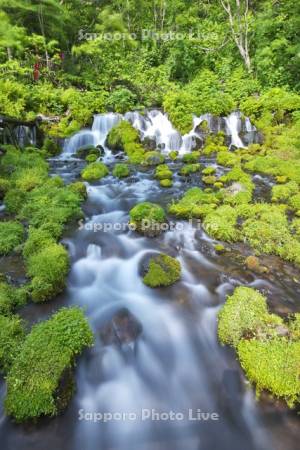 ふきだし公園　京極のふきだし湧水