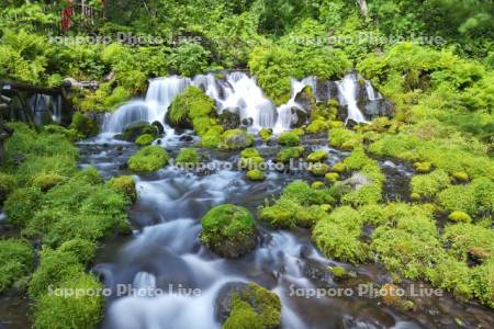 ふきだし公園　京極のふきだし湧水