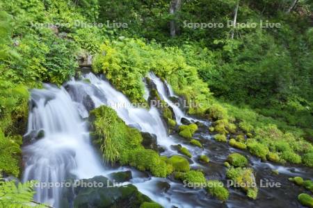 ふきだし公園　京極のふきだし湧水