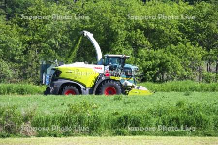 牧草の収穫