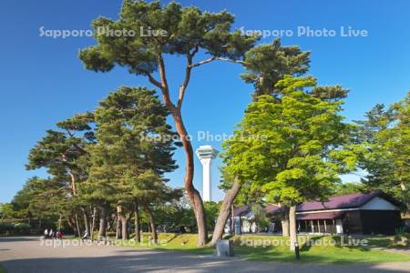 五稜郭タワーと五稜郭公園