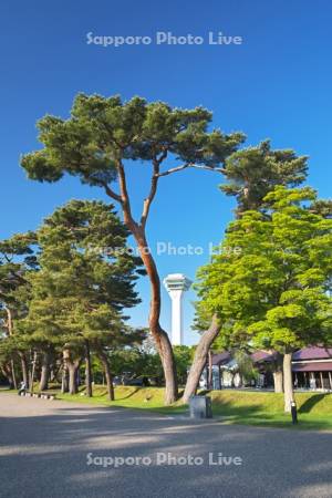 五稜郭タワーと五稜郭公園