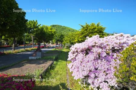 基坂とツツジと函館山