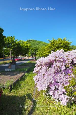 基坂とツツジと函館山