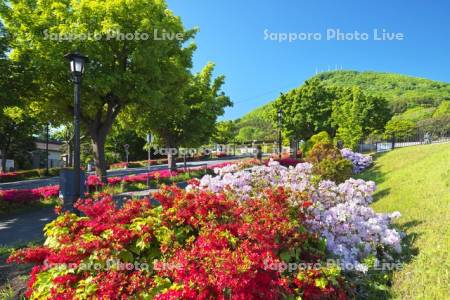 基坂とツツジと函館山