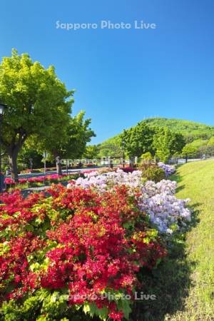 基坂とツツジと函館山