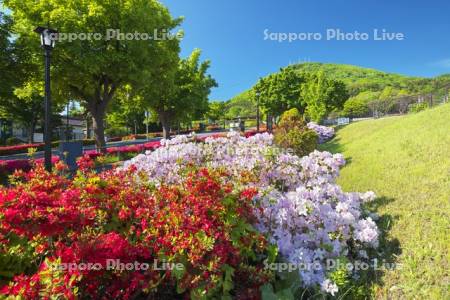 基坂とツツジと函館山