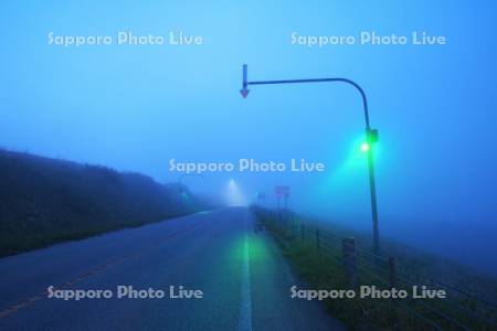 霧の道と緑の光