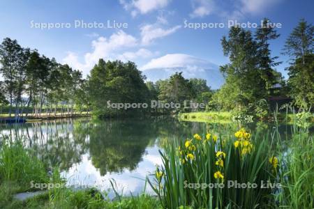 羊蹄姿見池と羊蹄山とキショウブ