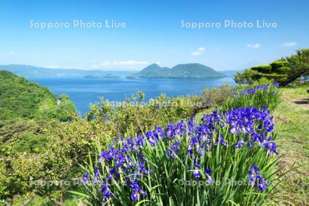 洞爺湖とアヤメ