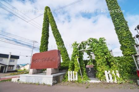 野生ホップ発見の地の碑